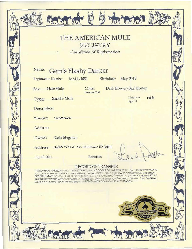 Gem's Flashy Dancer Registration
